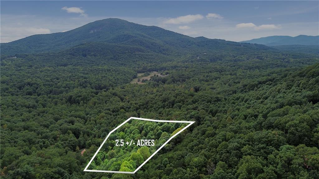 0 Sal Mountain Way Property Photo 1