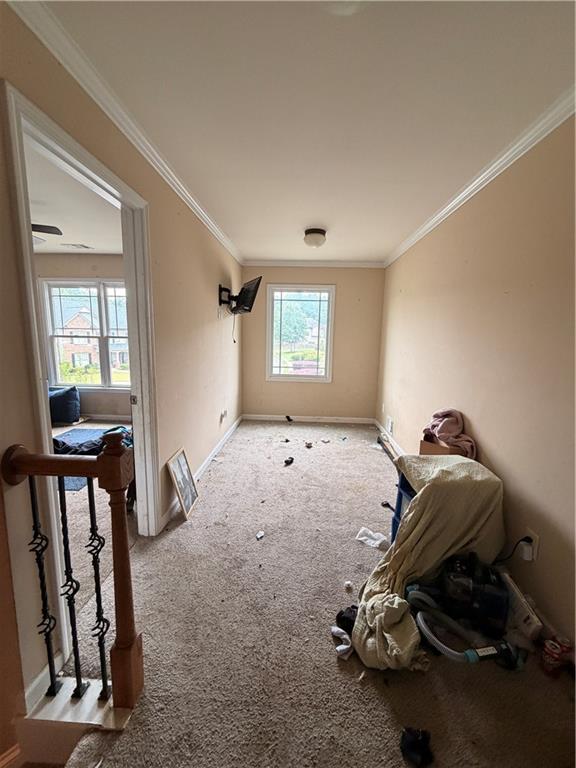 945 Grand Ivey Place Property Photo 8