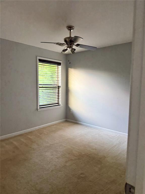 7819274 Property Photo 9