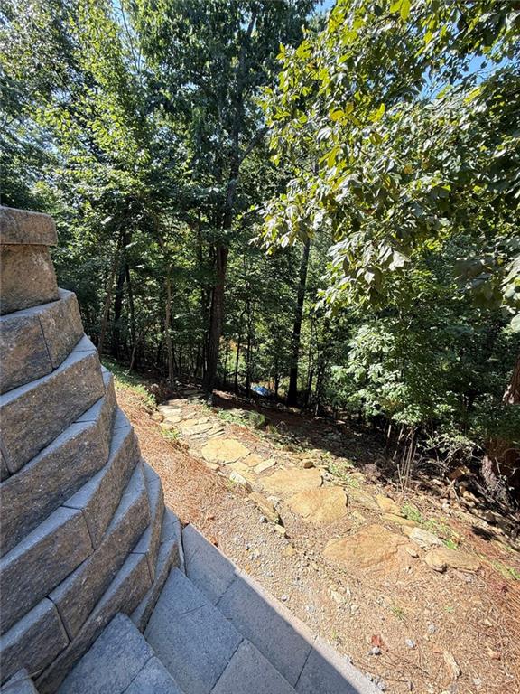 110 Sunset Peak Court Property Photo 56