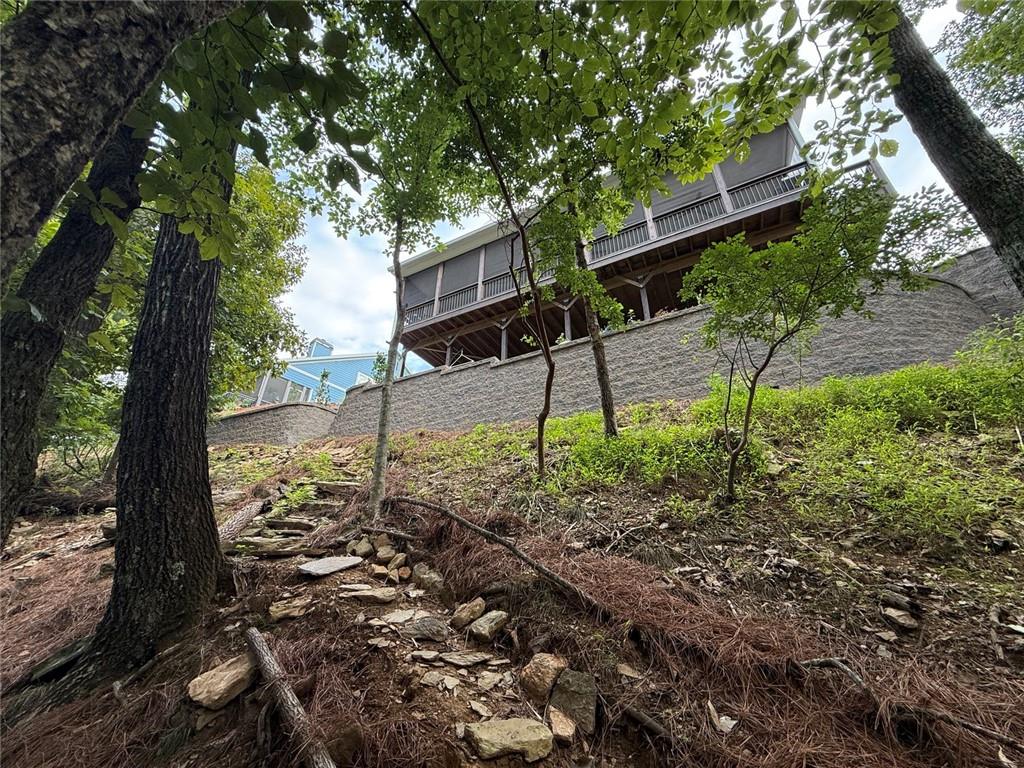 110 Sunset Peak Court Property Photo 57