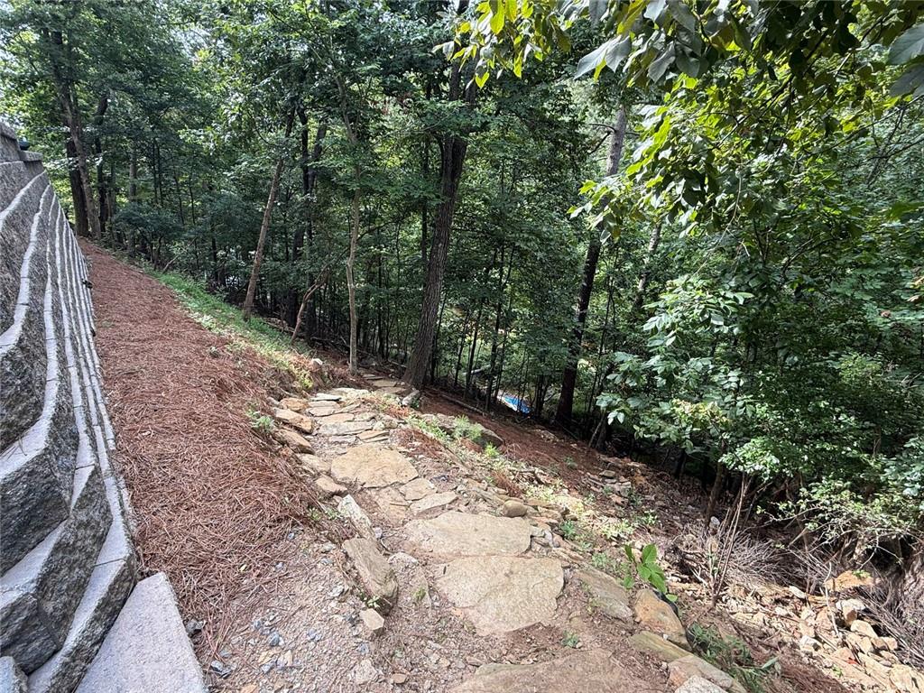 110 Sunset Peak Court Property Photo 58