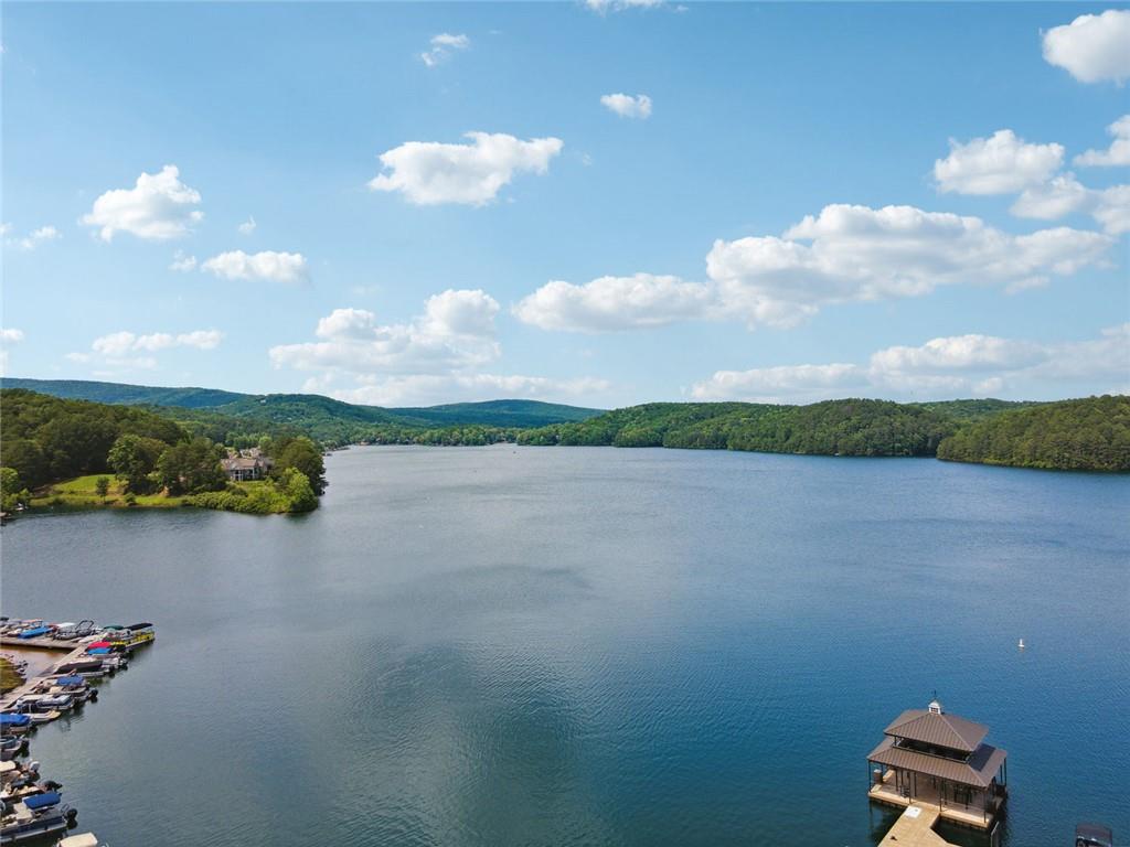 110 Sunset Peak Court Property Photo 76