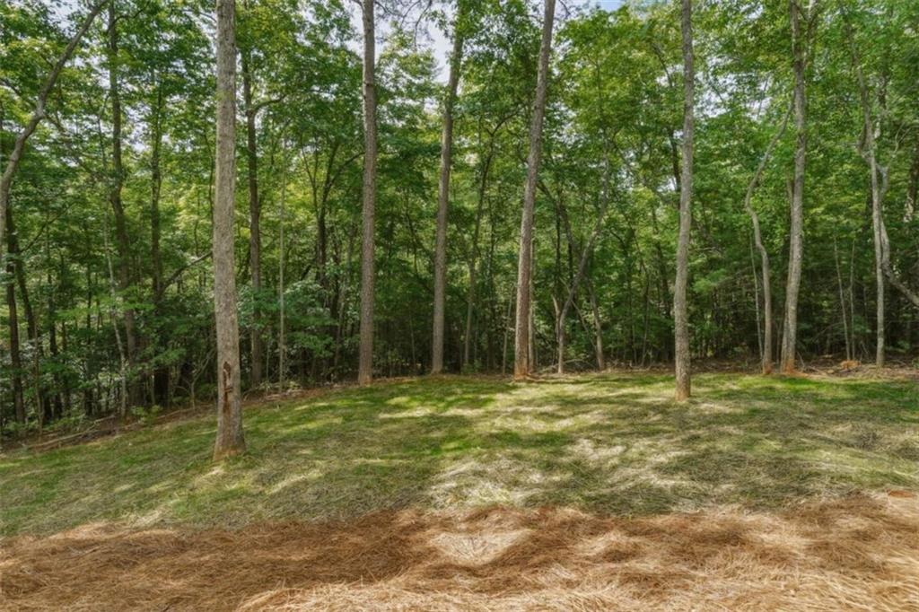 257 Gallery Court Property Photo 46