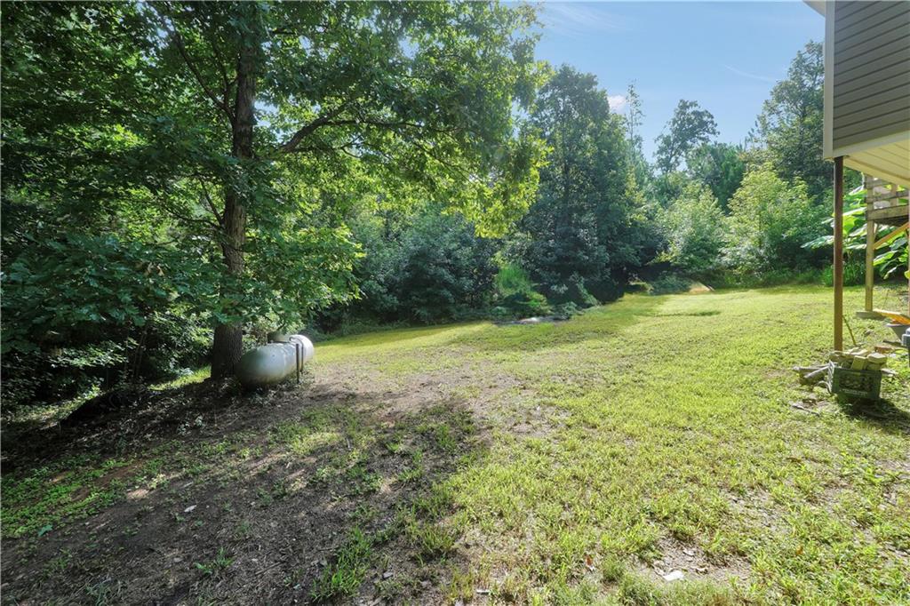 376 Doe Lane Property Photo 41