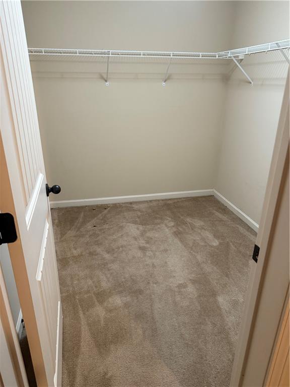 2405 Brisbane Drive Property Photo 45