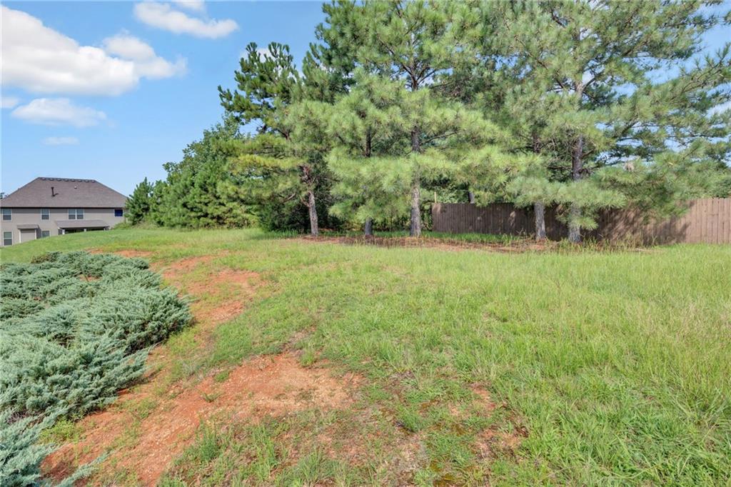 910 Southfork Drive Property Photo 60