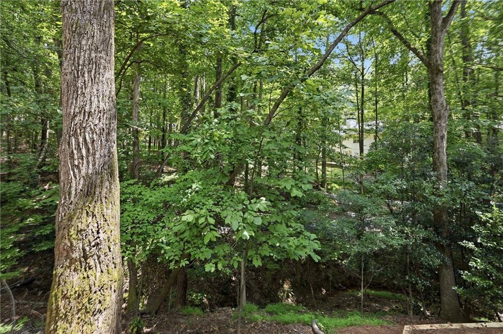 110 Bitternut Circle Property Photo 49