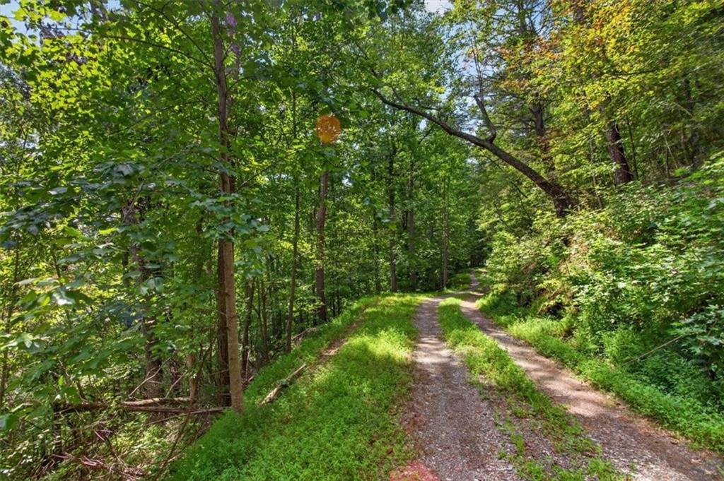 0 Elk Trl Property Photo 16