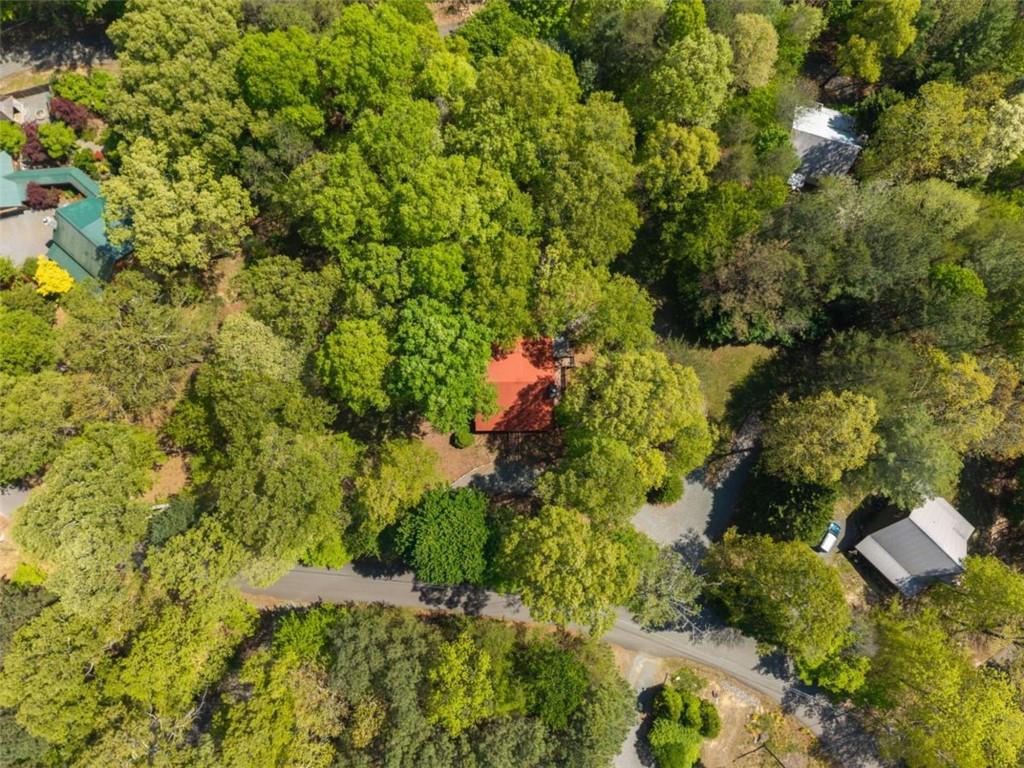 80 Stegall Mill Ridge Property Photo 5