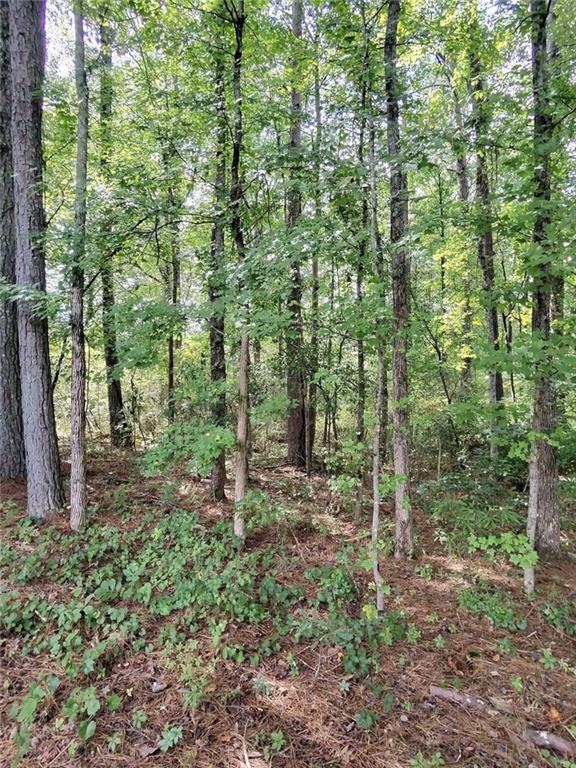 0 Post Road Property Photo 4