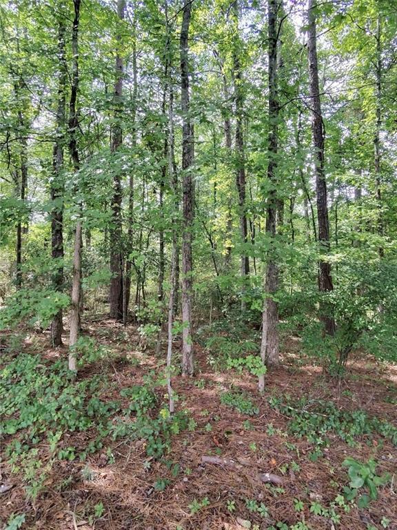 0 Post Road Property Photo 5