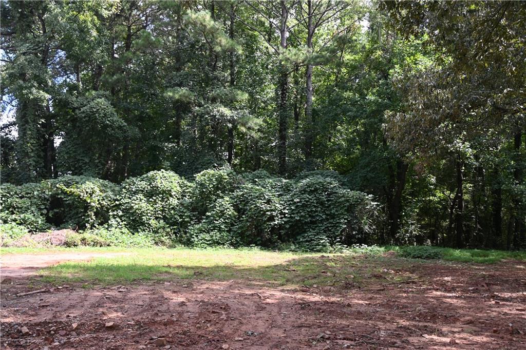 1374 Duluth Highway Property Photo 4