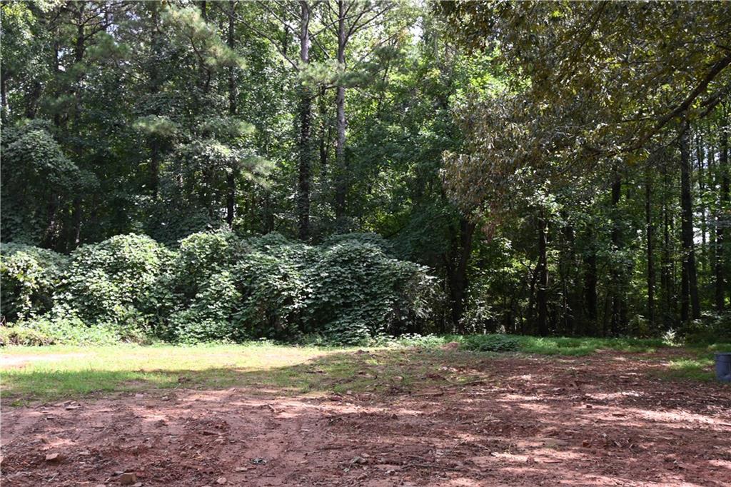 1374 Duluth Highway Property Photo 8