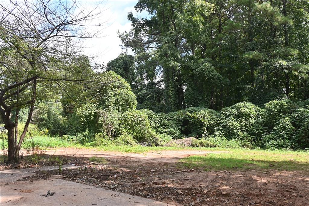 1374 Duluth Highway Property Photo 10