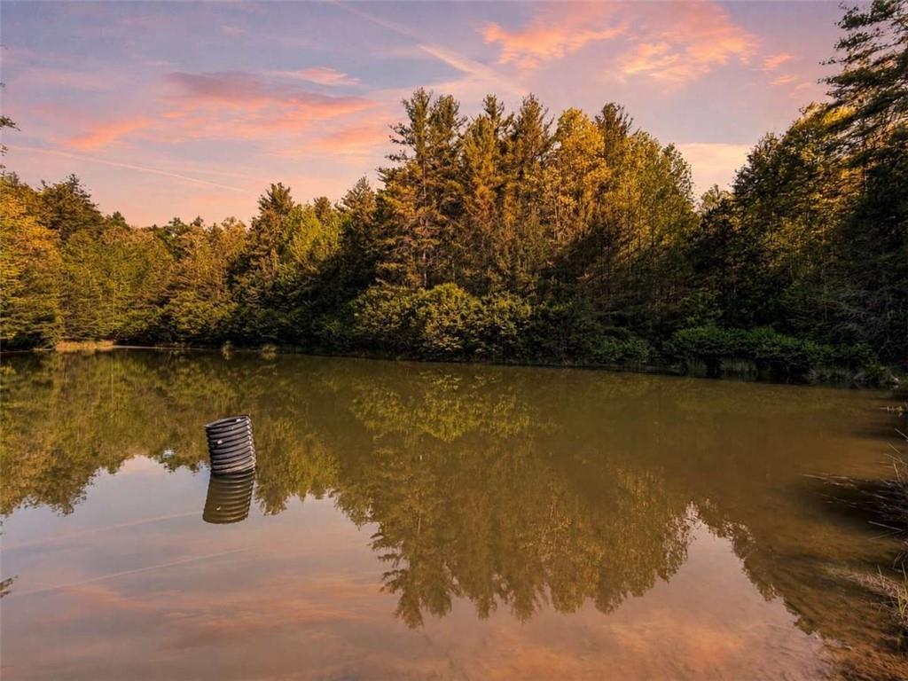 40 AC Valley Lake Road Property Photo 1