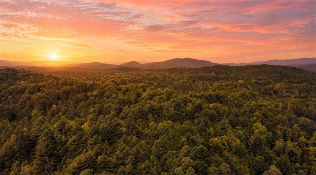 40 AC Valley Lake Road Property Photo 1
