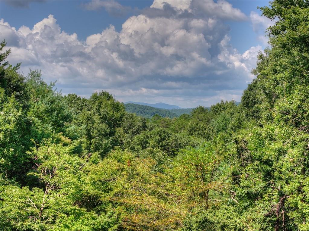 85 Squirrel Chase Property Photo 7