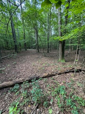 184 W Mcbride Road Property Photo 1