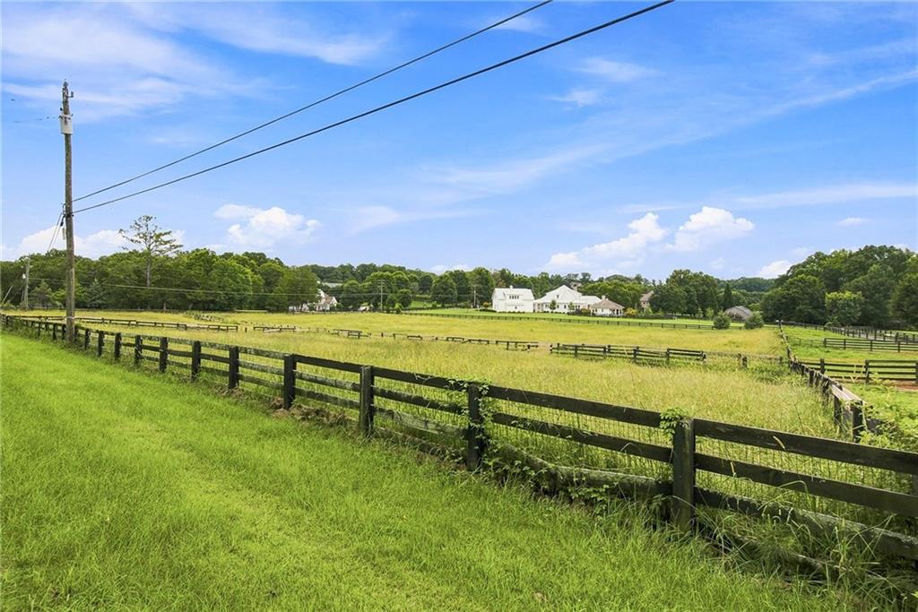 13798 Brittle Road Property Photo 11