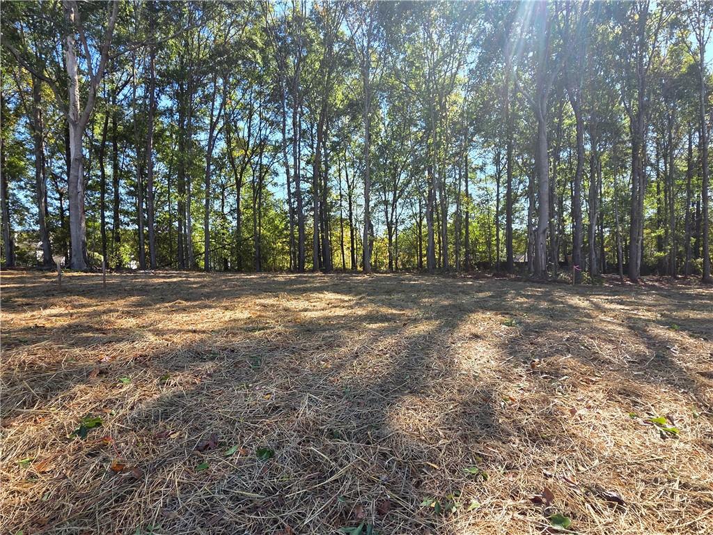 374 Meadows Drive Property Photo 41