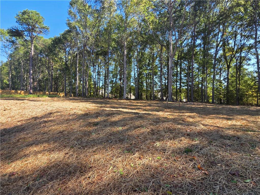 374 Meadows Drive Property Photo 42