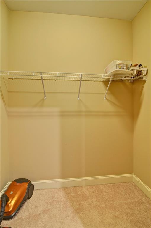964 Verlander Trail Property Photo 17