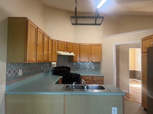 2853 Avalon Meadows Court Property Photo 15