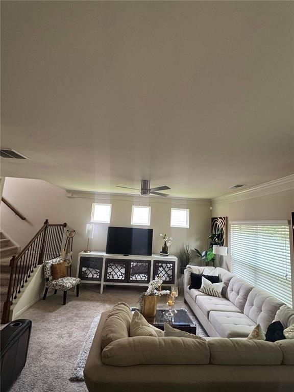 35 Ivey Township Drive Property Photo 8