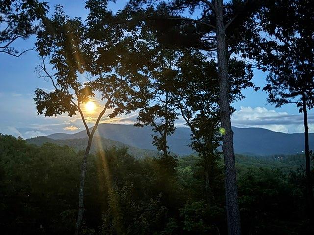 254 Leatherwood Mountain Road Property Photo 72
