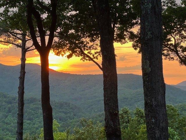 254 Leatherwood Mountain Road Property Photo 73