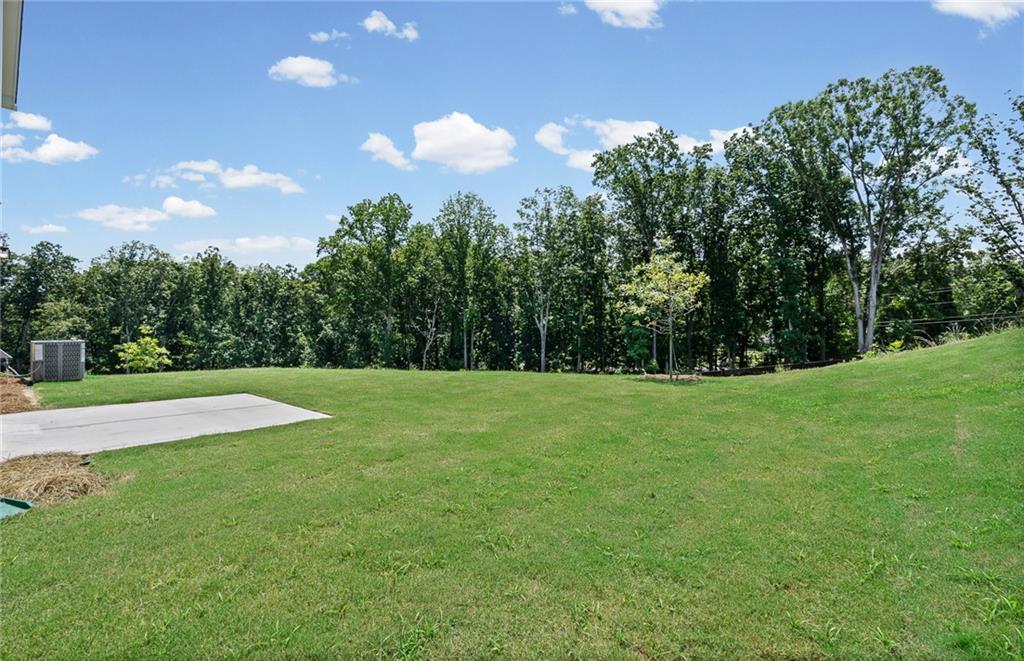 2918 Salinger Way Property Photo 19