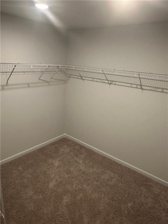 5344 Melbourne Lane Property Photo 19