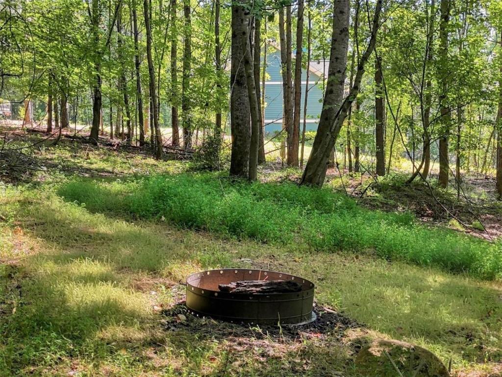 590 Old Shyers Ford Road Property Photo 50