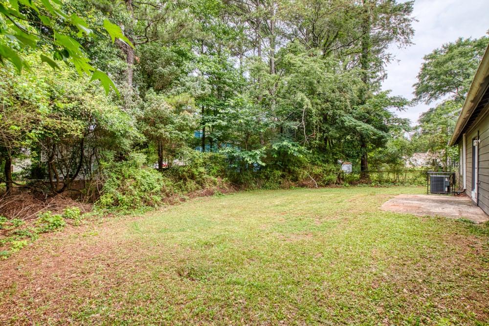 1107 Panola Road Property Photo 37