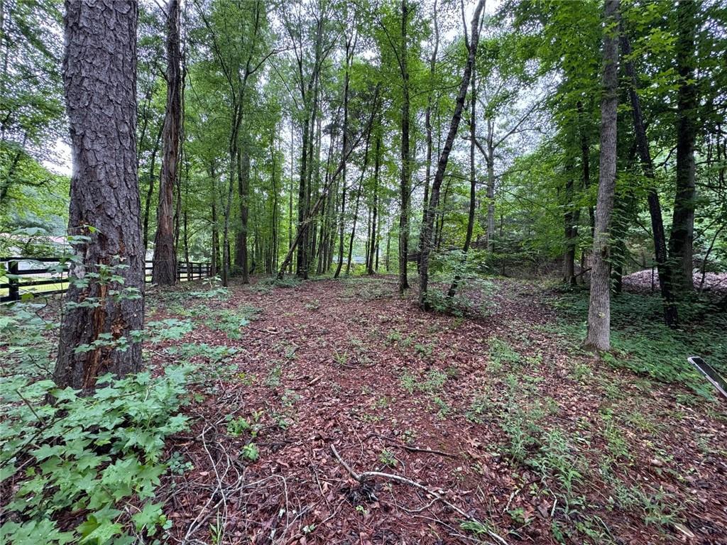 219 Lynn Road Property Photo 5