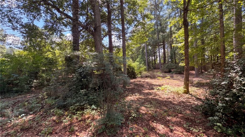 115 Emerald Lane Property Photo 29
