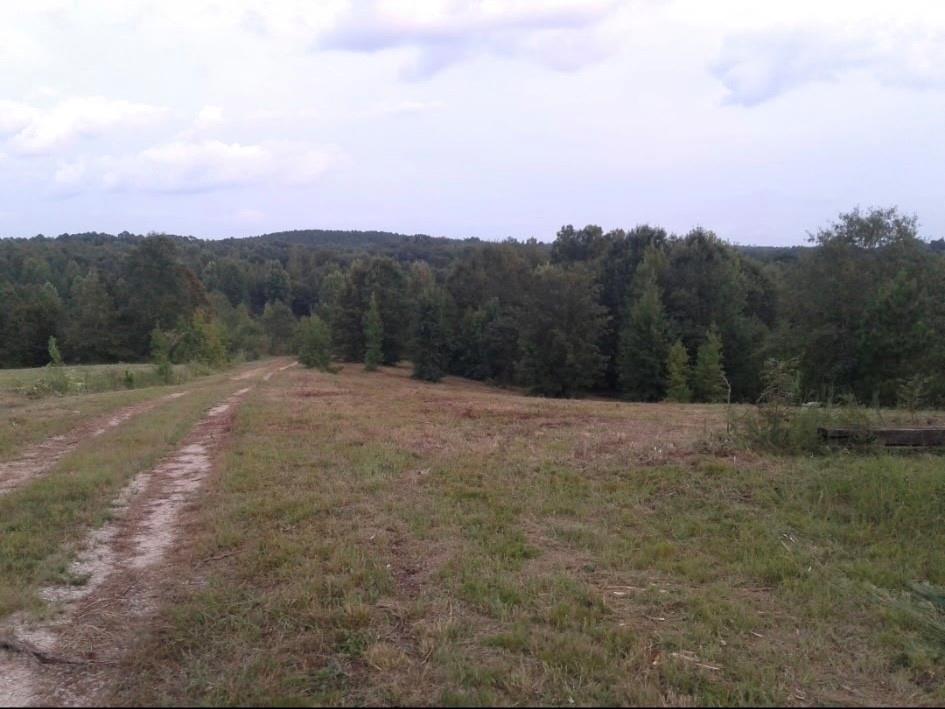 7821534 Property Photo 1