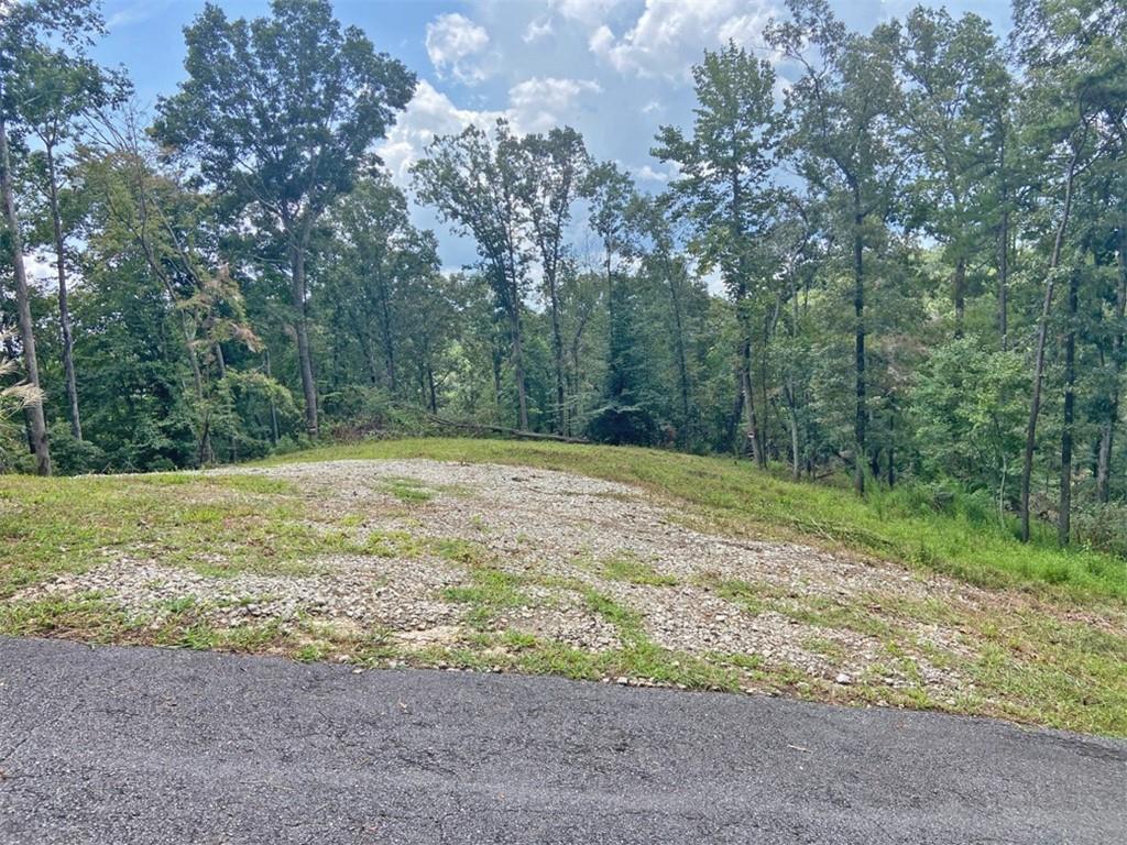 3.3ac Trillium Trail Property Photo 1