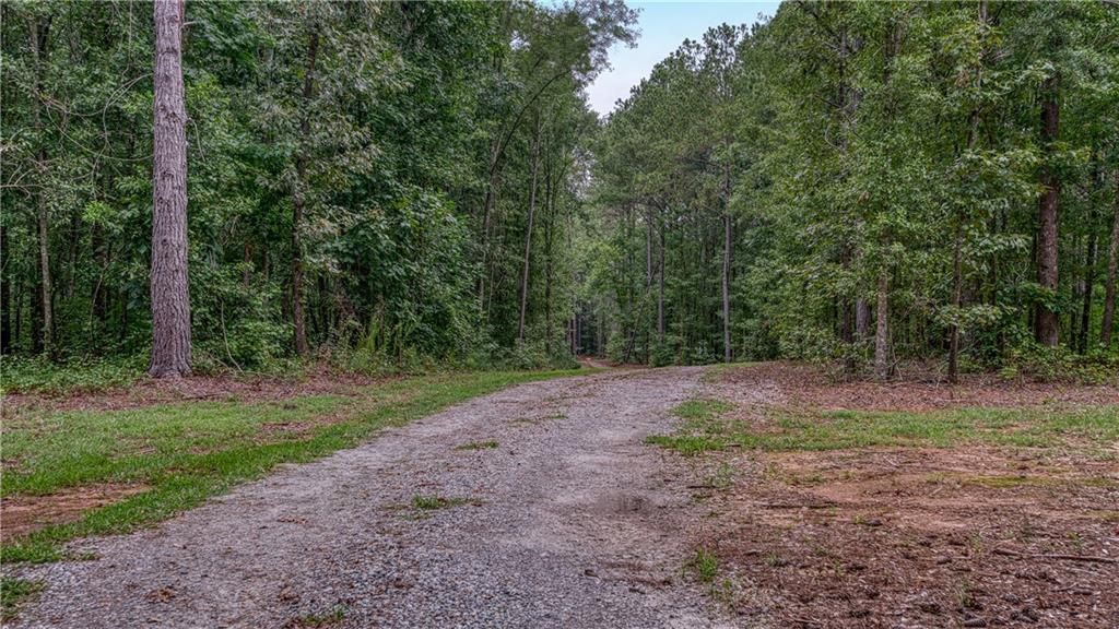 140 Levi Trail Property Photo 5