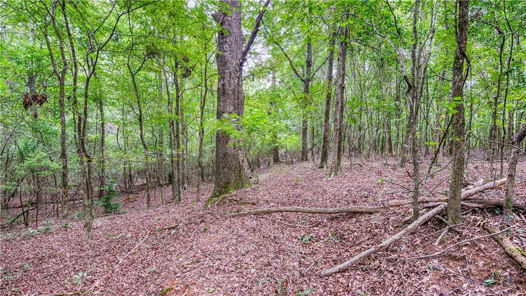 140 Levi Trail Property Photo 6