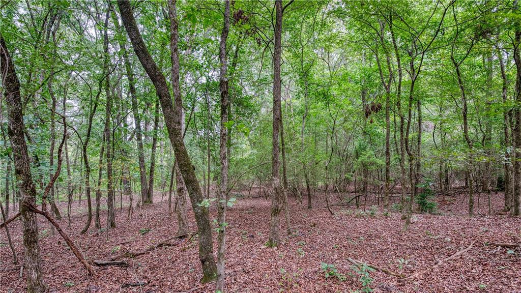 140 Levi Trail Property Photo 7