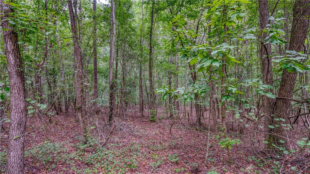 140 Levi Trail Property Photo 8