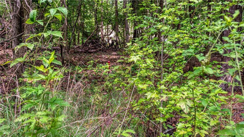 140 Levi Trail Property Photo 9