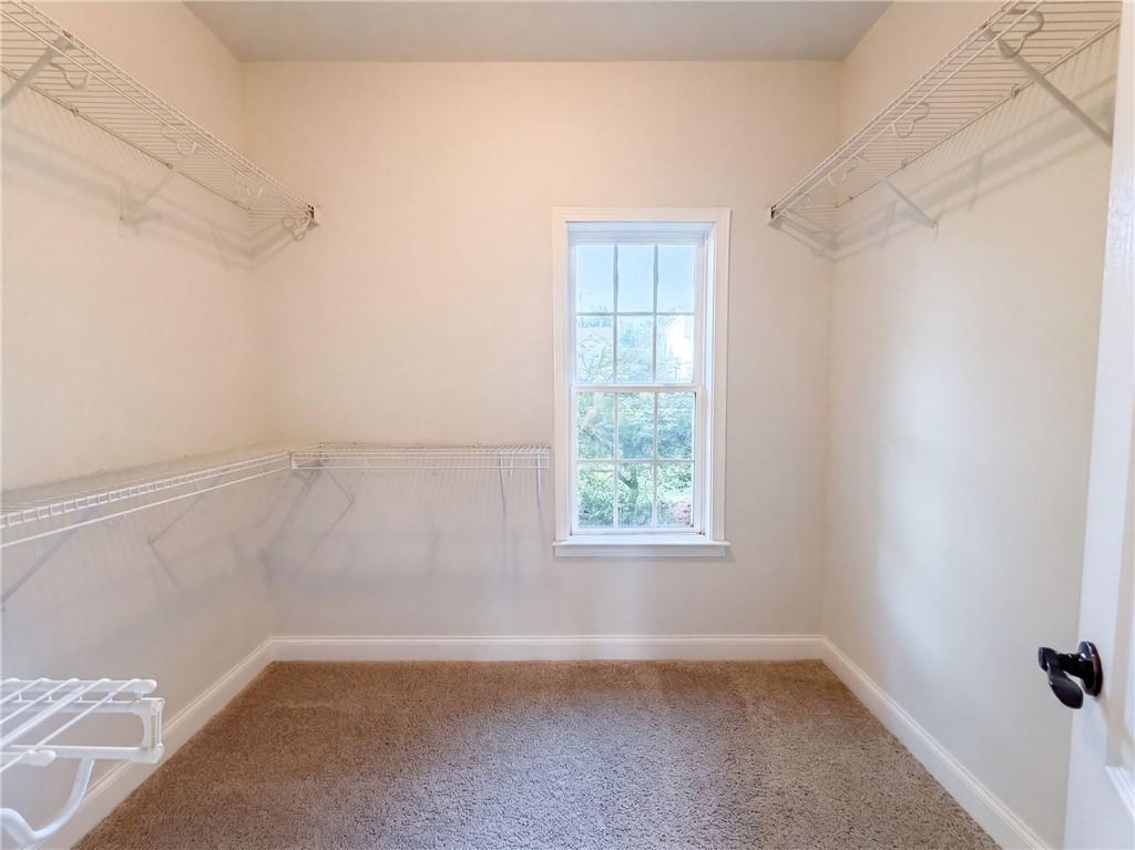 501 Rippling Court Property Photo 18