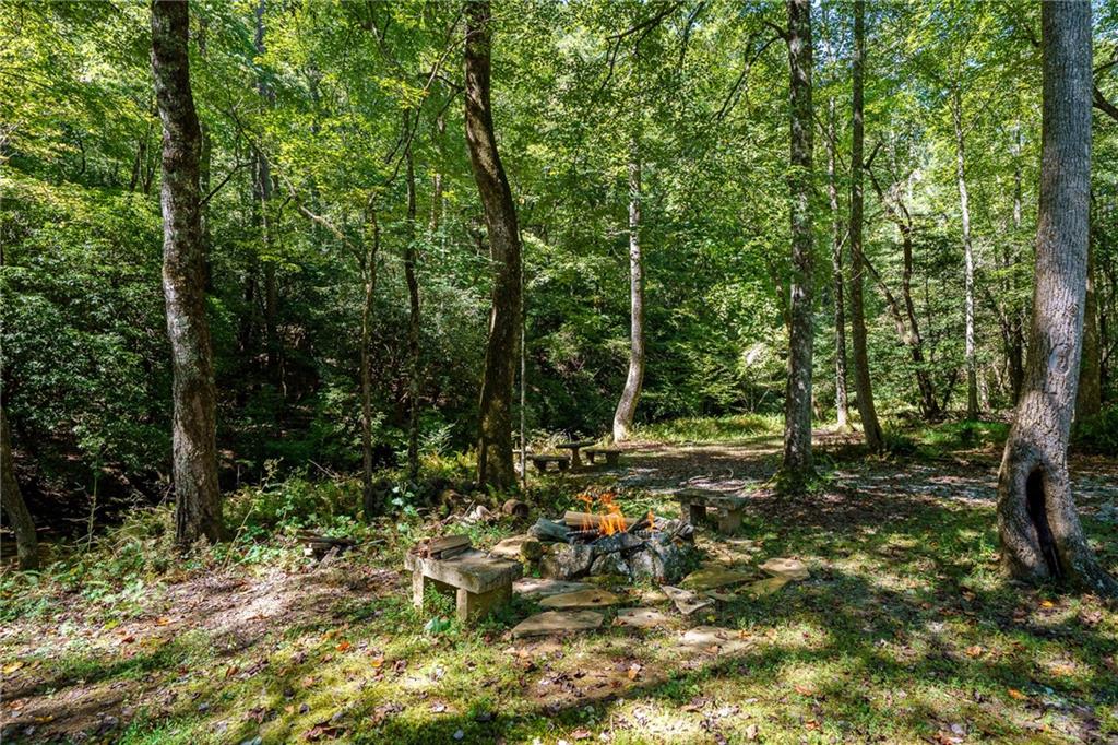 20 Bear Trail Property Photo 81