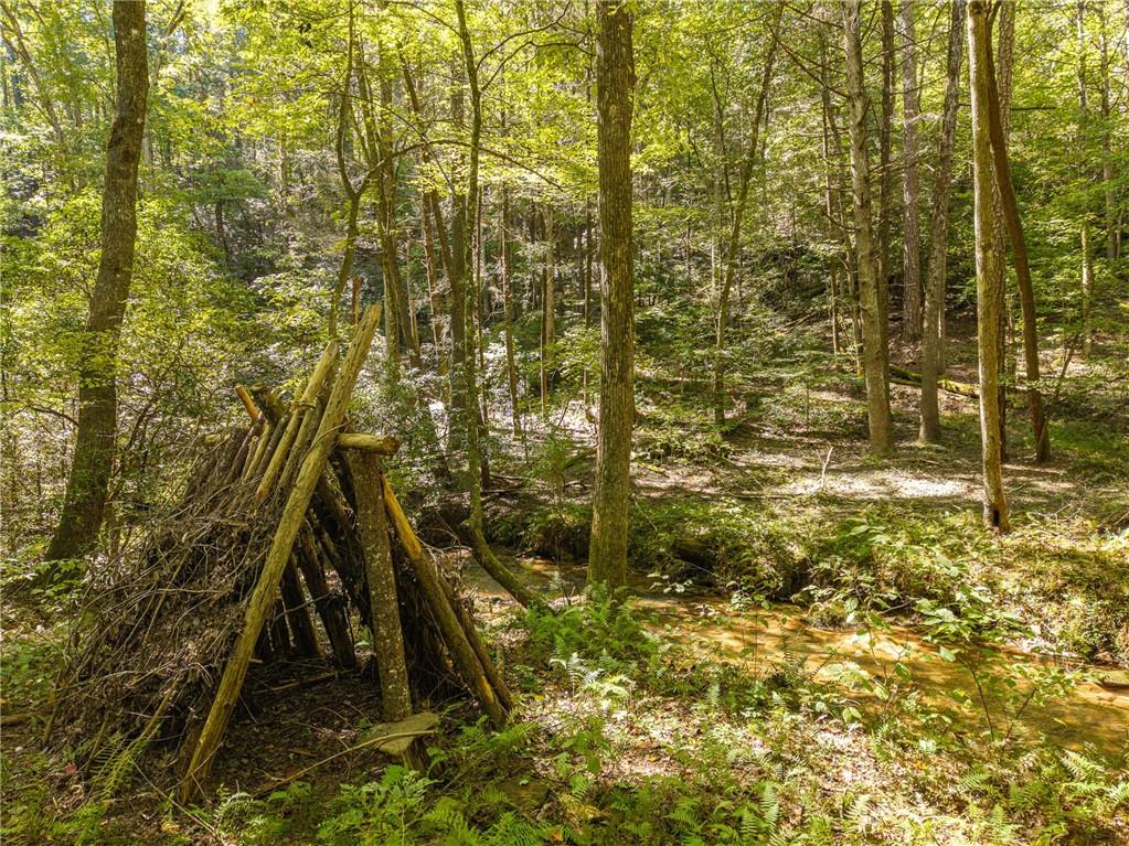 20 Bear Trail Property Photo 83