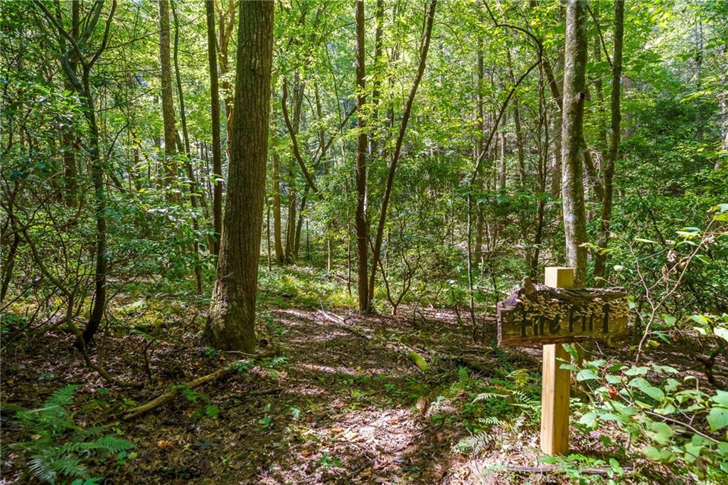 20 Bear Trail Property Photo 84