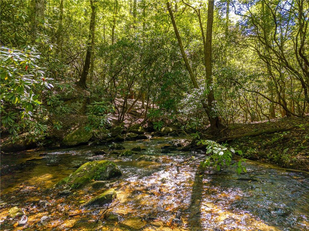 20 Bear Trail Property Photo 85