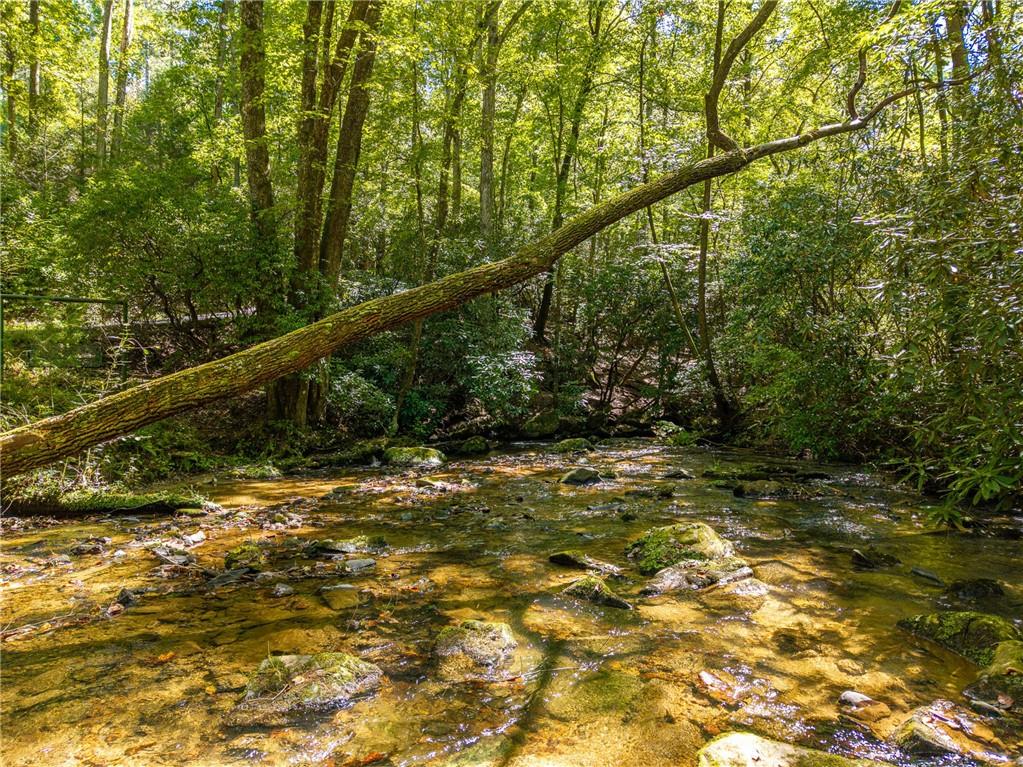 20 Bear Trail Property Photo 86